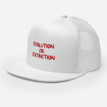 Load image into Gallery viewer, Evolve Cap