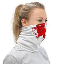 Load image into Gallery viewer, Masked Renegade Neck Gaiter